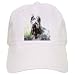 Dogs Briard - Briard - Caps