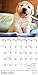 2017 Puppies Mini Calendar