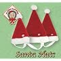 Dog Pet Santa Hat Plush Puppies Size Medium Kyjen