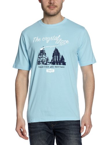 Camel Active Herren T-Shirt Regular Fit 298997, Gr. 50 (M), Blau (10 light blue) Preisvergleich