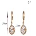 Yazilind Charming Simple Design 14K Gold Filled Inlay Round Clear Cubic Zirconia Dangle Drop Earrings
