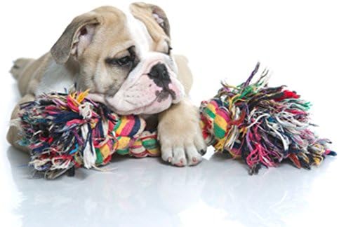 SafeGadgets New 100% Cotton, Knotted tug Rope Toy for Dog fun & exercise. Prevents gum disease.