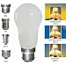 12 Watt Mini Candle Energy Saving Light Bulb, Bayonet and Screw Fittings - eco friendly - Bayonet B22 : Cool Daylight