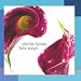 Love Songs