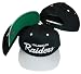 Los Angeles Raiders Black/Silver Two Tone Plastic Snapback Adjustable Plastic Snap Back Hat / Cap