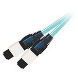 Cables to Go 10Gb - Network cable - MTP multi-mode (F) - MTP multi-mode (F) - 49 ft - fiber optic - 50 / 125 micron - aqua
