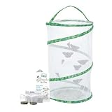 Live Butterfly Garden