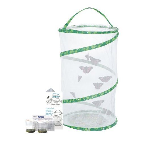 Live Butterfly Garden