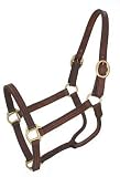 Royal King Leather Track Halter