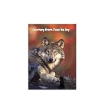 Journey From Fear To Joy