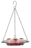 Birdscapes 224 Oasis 8-Ounce Glass Top Hummingbird Feeder