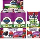 Garden of LIfe Pro 2 Go (10-1 gram packets)