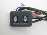 250-3593 Dash Mount Flat Panel Control Switch for Rostra and Audiovox Cruise Control 250-3593 Dash Mount Flat Panel Control Switch for Rostra and Audiovox Cruise Control