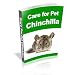Care For Pet Chinchillas