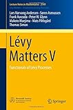 Functionals of Lévy processes