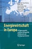 Produkt-Bild: Energiewirtschaft in Europa: Im Spannungsfeld zwischen Klimapolitik, Wettbewerb und Versorgungssicherheit