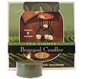 Beanpod Candles, Eucalyptus Lavender Soy Tealights