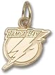 Tampa Bay Lightning New Logo 3/8" Charm/Pendant -14K/10K, Stainless Steel or Gold Plated