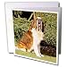 Dogs Saint Bernard - Saint Bernard - Greeting Cards-12 Greeting Cards with envelopes