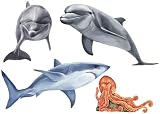Shark Dolphins and Octopus Friends Dry Rub Transfer Kit