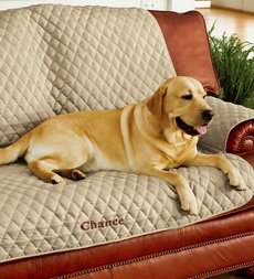Personalized Pet Sofa Cover