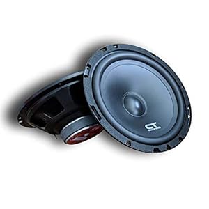 ct sounds door speakers