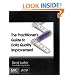 The Practitioner's Guide to Data Quality Improvement (The MK/OMG Press)