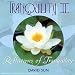 Forest Of Shadows-Tranquility II: Reflections of Tranquility