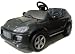 toystoys�i�C�^���A�j�̃y�_���J�[�@�|���V�F�@�J�C�G���@�^�[�{