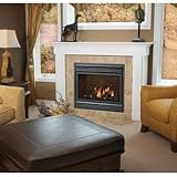 IMAGE OF Napoleon Bgd36 Direct Vent Natural Gas Fireplace