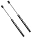 4592 Fits a Mitsubishi Endeavor 2004-2008 Liftgate Lift Supports Strut, Set of 2