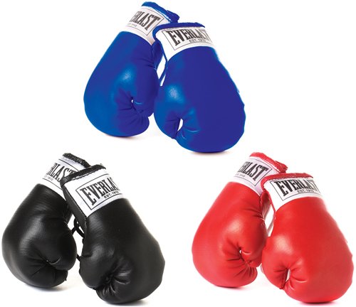 Everlast Mini Boxing Gloves