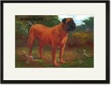 Black Framed/Matted Print 17x23, English Mastiff Champion