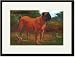 Black Framed/Matted Print 17x23, English Mastiff Champion