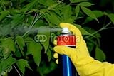 IMAGE OF Wallmonkeys Peel and Stick Wall Decals - Pesticiding Garden - 72