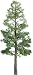 JTT Professional Series Pine Trees 6