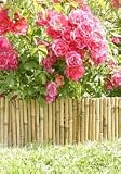 Bamboo Flexible Fencing 8 in x 6 foot