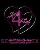 Just4Play - Interactive DVD Game for Couples