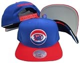 New York Nets Blue/Red Two Tone Snapback Adjustable Plastic Snap Back Hat / Cap