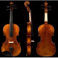 Advanced Student Full Size Fiddle Violin Bow Case Set A