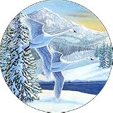 A Snowy Flight Spare Tire Cover 