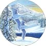 A Snowy Flight Spare Tire Cover