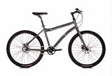 Dahon Cadenza P8 2008   20 Frame Great Price