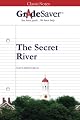 GradeSaver (TM) ClassicNotes: The Secret River