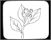 Decorated Mouse Pad with 