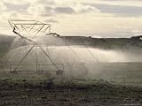 Irrigation Sprinkler Waters an Agricultural Crop, Australia Photographic Poster Print by Jason Edwards, 12x9