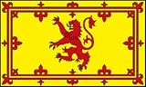 Scottish Flag Bunting 8 foot x 10 flags