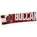 Tampa Bay Buccaneers FanBand Headband