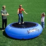 Dragon Fly trampoline pool