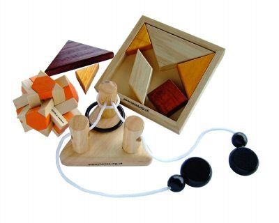 Mensa IQ Wooden Bogglers